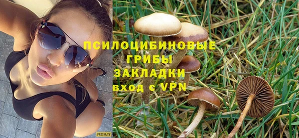 СК Михайловск